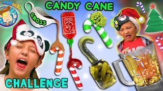 CANDY CANE CHALLENGE w/ Gross and Weird Flavors + Nasty Smoothie Mix  (FUNnel Vision Taste Test Fun)