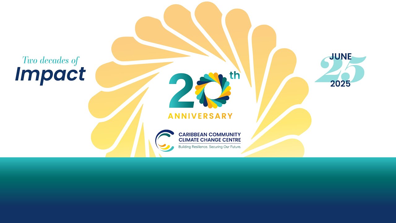 Two Decades of Climate Impact-Panel Discussion