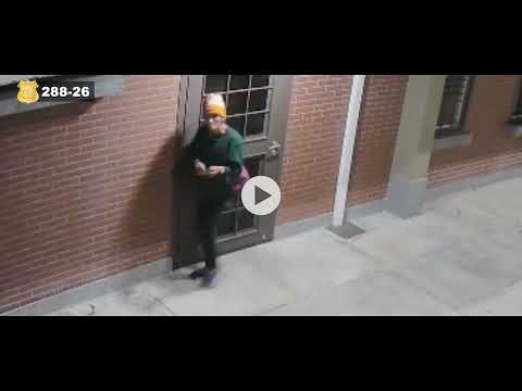 288. Sospechoso de Robo en Pococí, Limón.
