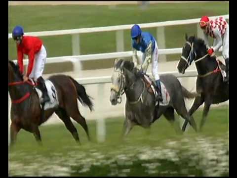 Hazafi díj (GD3) 1600m