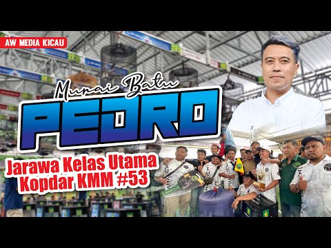 Double Winner Kelas Utama......!!! MURAI BATU  PEDRO JAWARANYA DI KOPDAR KMM #53 BALEKOTA ARENA