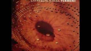 Catherine Wheel - Tumbledown + Bill and Ben