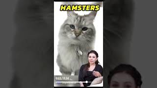 Do you even care about your pet&#39;s health? [Emf Review] #subscribe #biologia #science