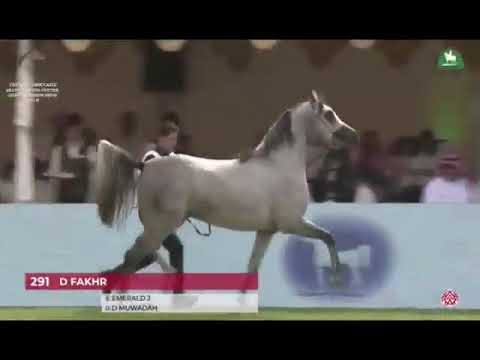 البطل #دي #فخر