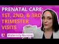 Prenatal Care 1st 2nd And 3rd Trimester Visits Pregnancy Maternity Nursing LevelUpRN