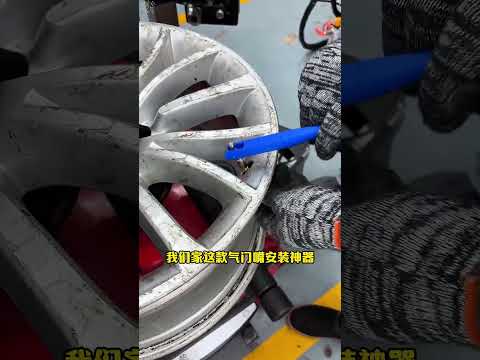 tire Valve Stem Replacement Tool. #youtubeshorts