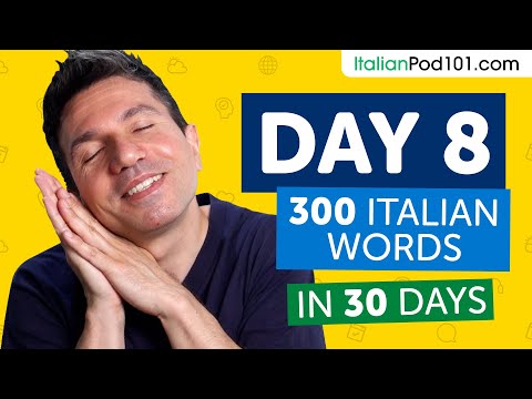 Day 8: 80/300 | Learn 300 Italian Words in 30 Days Challenge