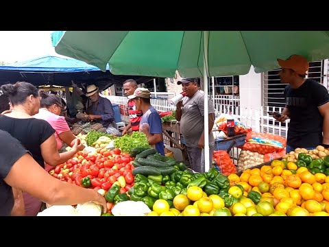 Feira Livre de Vila Quebec camutanga PE 