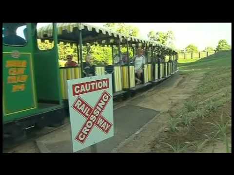 Big Pinapple - Big Plans