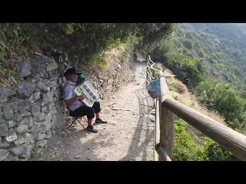 Accordion music on the trail to Corniglia