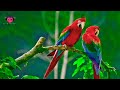 Annakkili Vannakkili Naan Aasa Iniyavale High Quality Clear Audio Song