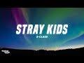 Stray Kids - S-Class (Lyrics)