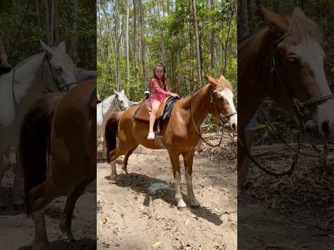 E do nada parou tudo 😂 #youtubeshorts #shosts