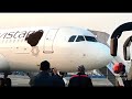 Honey Bees Attack Airplane On Ground | Daily Dose Of Aviation