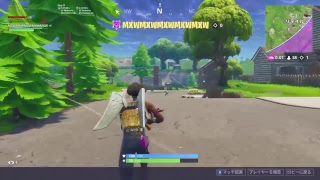 fortnite  スクワット　ドン勝