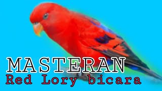 Download lagu MASTERAN NURI RED LORY AGAR CEPAT BICARA mp3 Download lagu MASTERAN NURI RED LORY AGAR CEPAT BICARA mp3