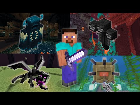 OphieSR - Every Minecraft Boss Speedrun in under 30 Minutes