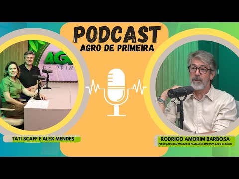 Pesquisador fala sobre presente e futuro das pastagens de MS no Agro de Primeira