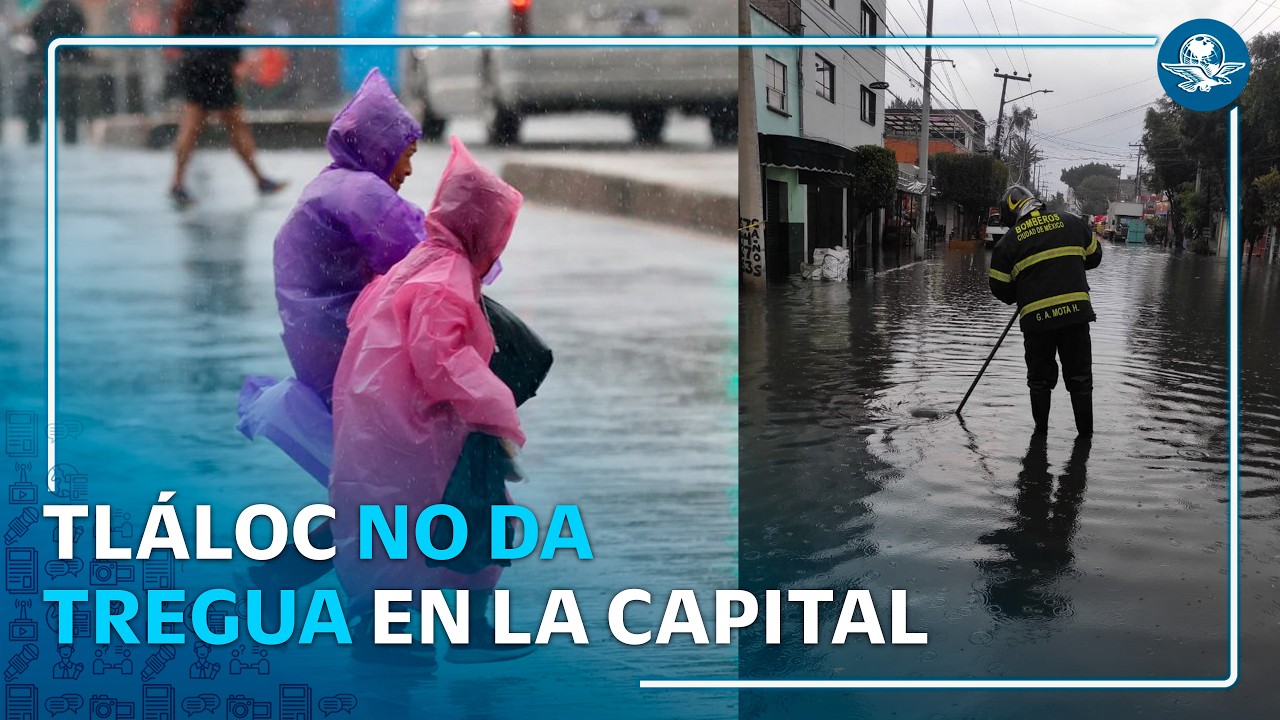 Lluvias azotan CDMX: dejan árboles caídos, encharcamientos y caos
