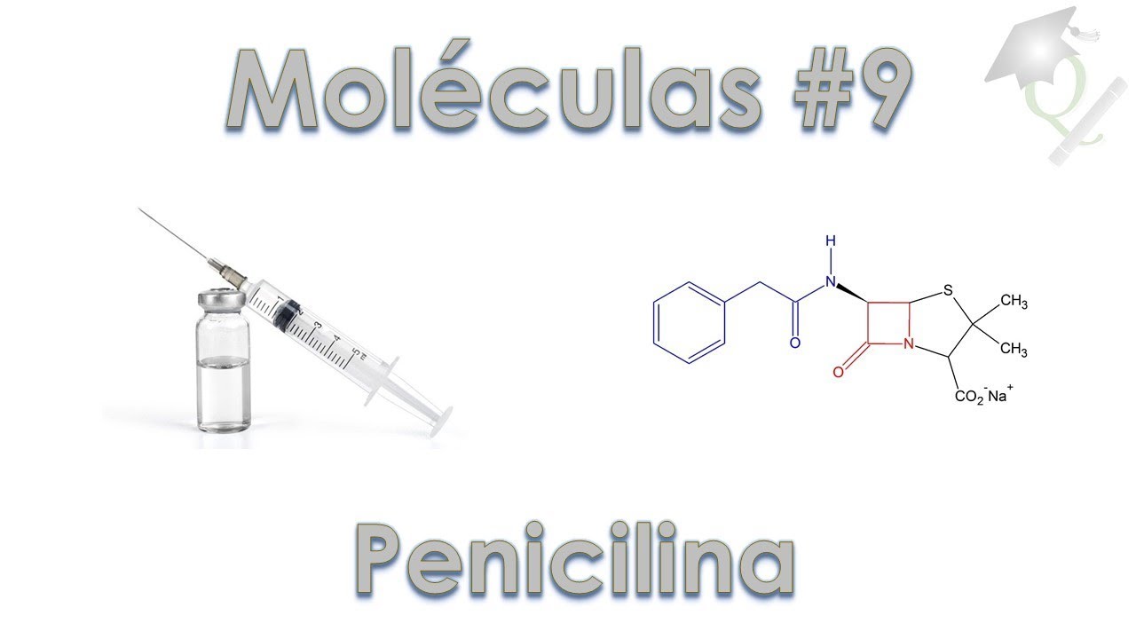 Uma Molécula por Dia #9 Penicilina
