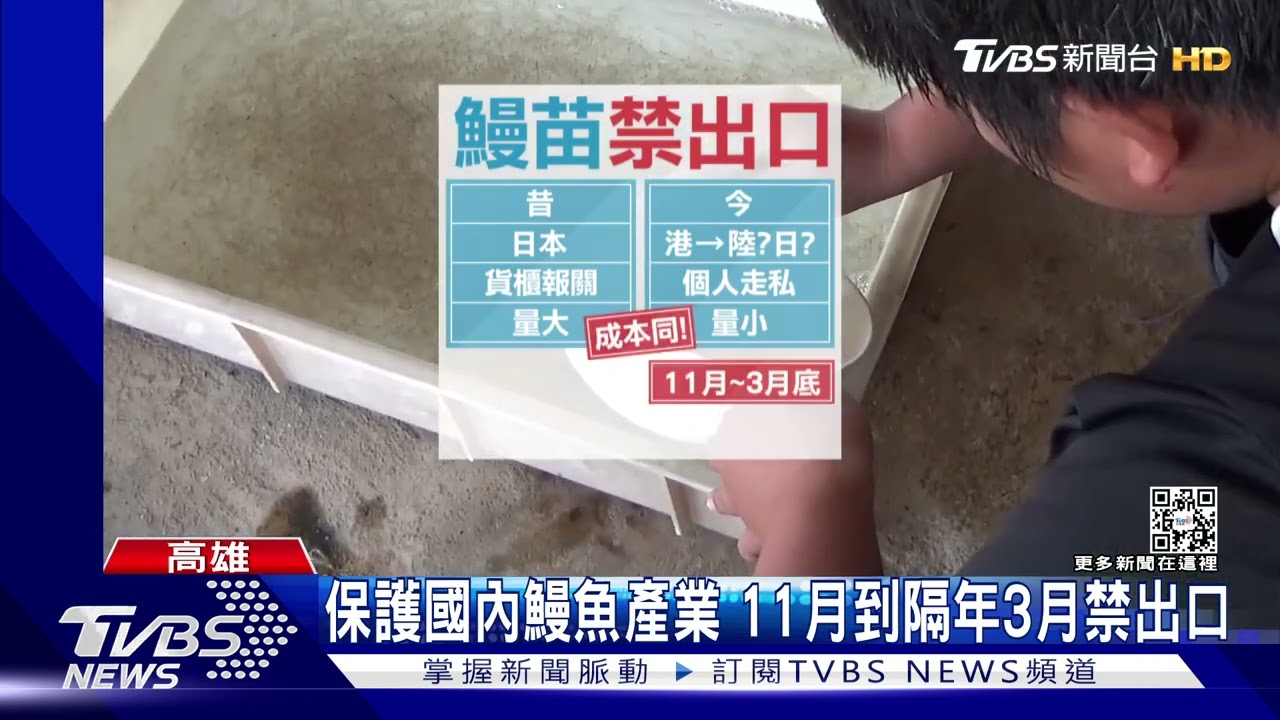 茶葉罐裝榨菜帶出國? 真相是..偷藏6萬多尾鰻苗要走私