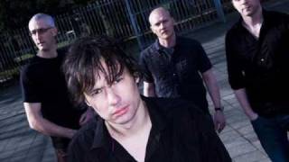 Pineapple Thief - 137