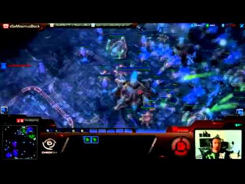 Maximus Watching Blaximus (Remastered)