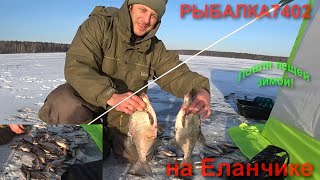 Ловля леща чел обл