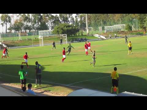 JCLVRSA 012 CASTRENSE LUSITANO VRSA