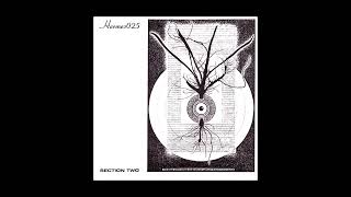 Quad by Omit, Disc 2