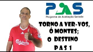 PAS 1 - Análise do poema "Torno a ver-vos, ó montes" de Cláudio Manuel da Costa.