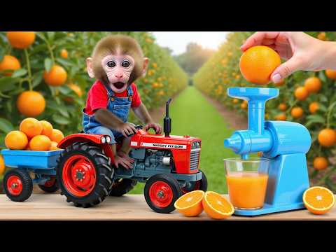 Monkey Nana drives a tractor : The quest for orange juice on a hot summer day - NANA MONKEY LIFE