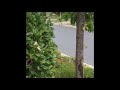 Just A Bunch Of Cheap Walk Cycles