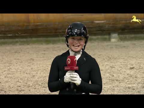 ESTOBAR NRW - der Grandseigeur der Hengststation Gut Neuenhof