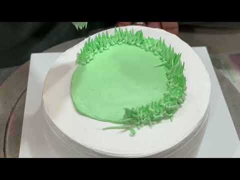 Cricket-themed cake 🏏