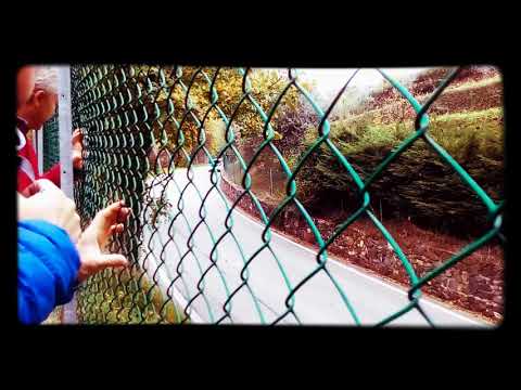 Rally del palladio 2017