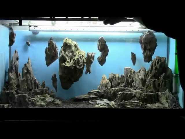 Allestimento acquario fantasy - Aquarium Setup - Aquascape: Esercitazioni Jedi STEP 1