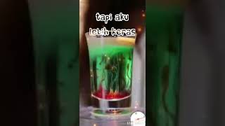 Download lagu status/story wa keren kerasnya dunia ini mp3 Download lagu status/story wa keren kerasnya dunia ini mp3