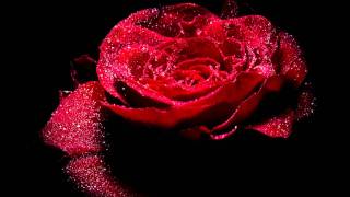 KayBE - Till the Party Lights in my Dream End (HD) (Mashup)