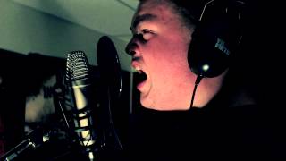 Tesseract - Concealing Fate Part 4: Perfection (Vocal Cover)