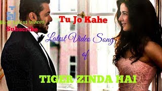 Tu Jo Kahe - Full Video Song  Tiger Zinda Hai  Sal