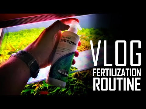 NO SECRETS - VLOG - My Fertilization routine #FAAO #Aquascaping #vlog