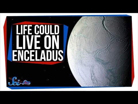 It's Official: Life Could Survive on Enceladus