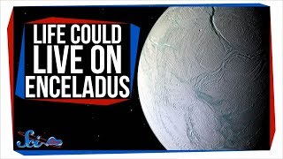 It's Official: Life Could Survive on Enceladus