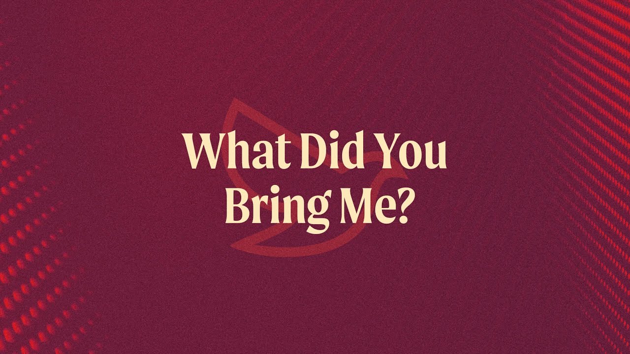 What Did You Bring Me?