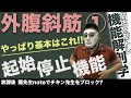 『久々の機能解剖学!外腹斜筋!に入ります!』CHICKEN HEART TV vol.141座学