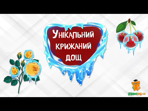 Дива природи. Явища навколо нас. Прекрасна і небезпечна ожеледь