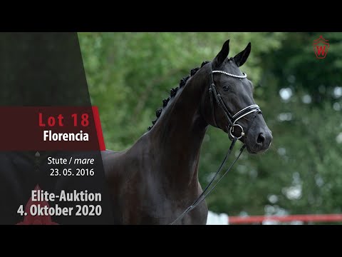 Elite-Auktion 4. Oktober 2020 Lot 18 Florencia Stute v. Fürsten-Look - Don Primero