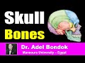 Skull Bones, Sutures, Landmarks and Foramina, Dr Adel Bondok