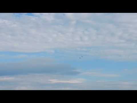 F-16 P-51 formation fly over